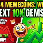 top memecoins